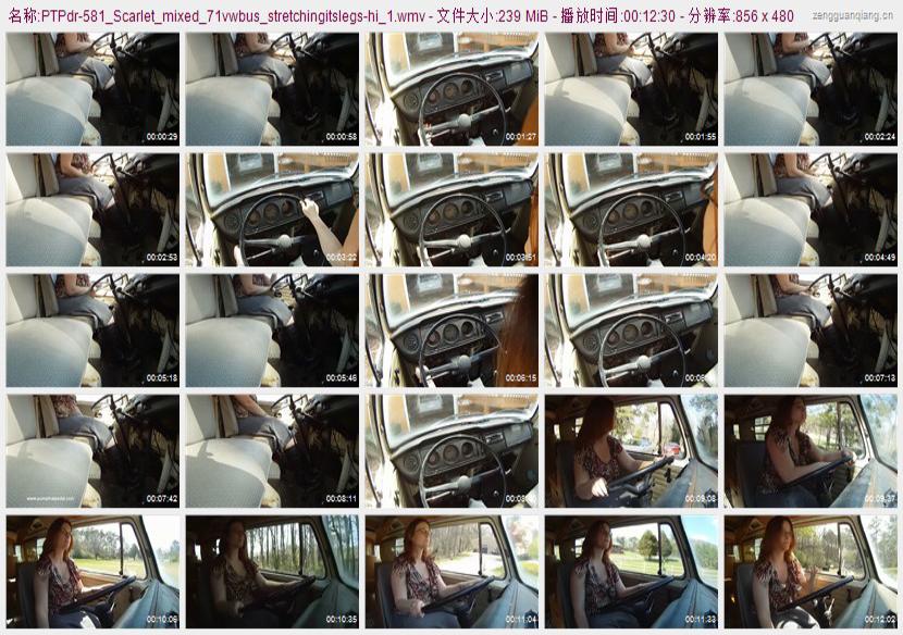 ptpdr-581_Scarlet_mixed_71vwbus_stretchingitslegs